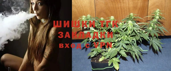 трава Магас