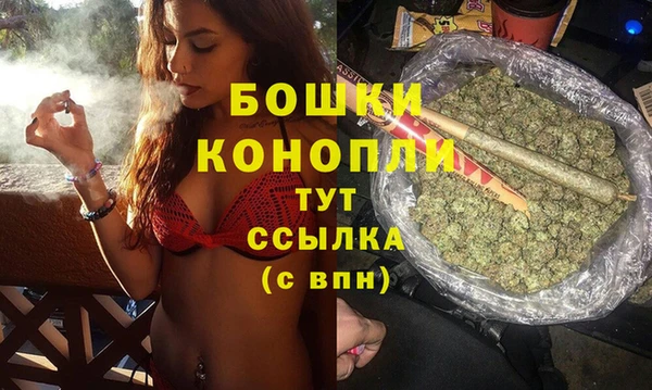 трава Магас