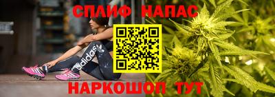 амф Гусь-Хрустальный