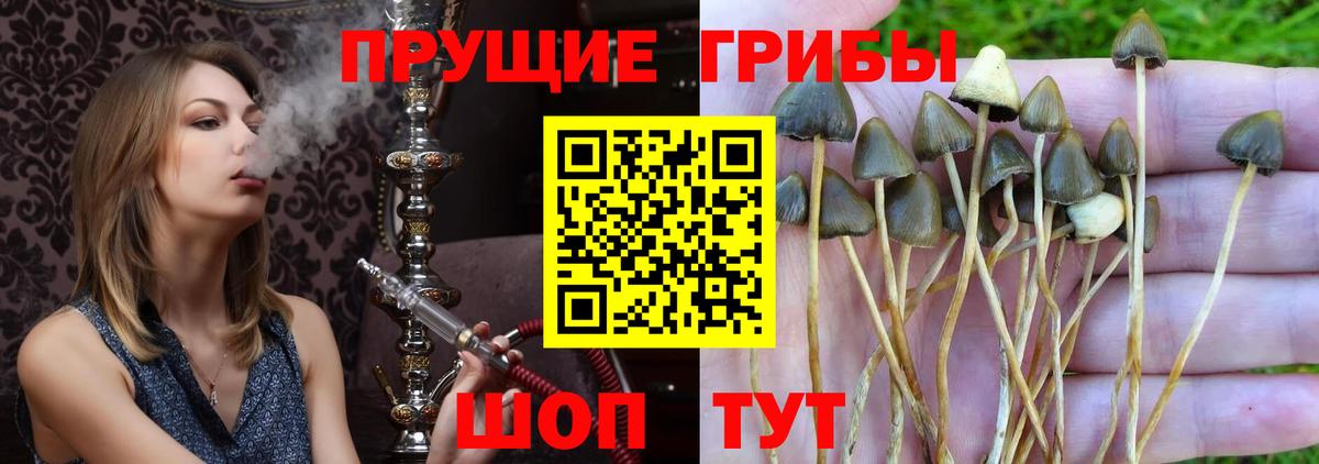 Еманжелинск  Галлюциногенные грибы ЛСД  Вход с VPN 